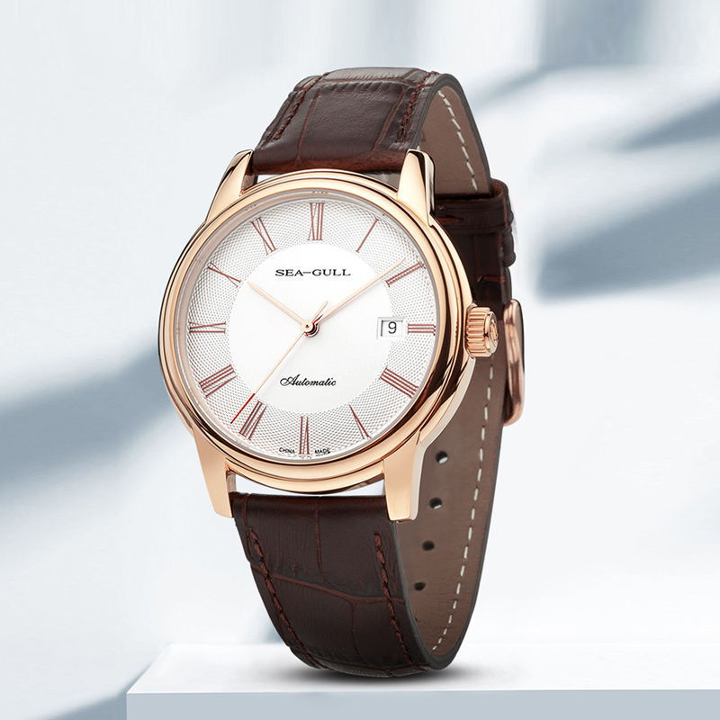 Seagull Men's Mechanical Watch - Omega Watch Constellation 评论和价格
