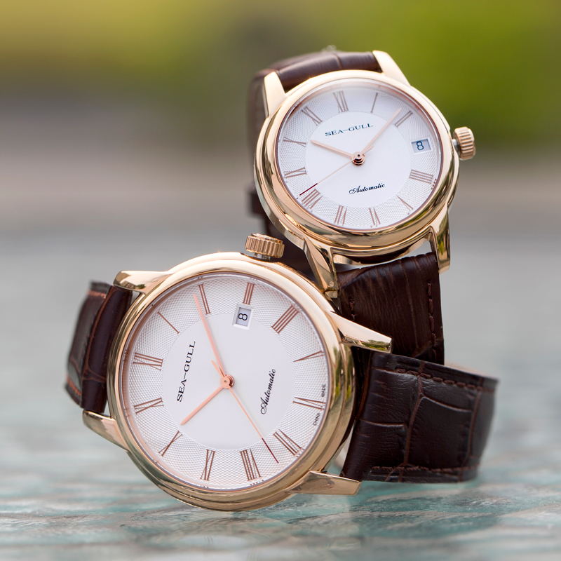 Seagull Men's Mechanical Watch - Omega Watch Constellation 评论和价格