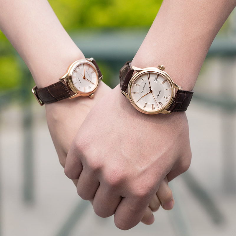 Seagull Men's Mechanical Watch - Omega Watch Constellation 评论和价格