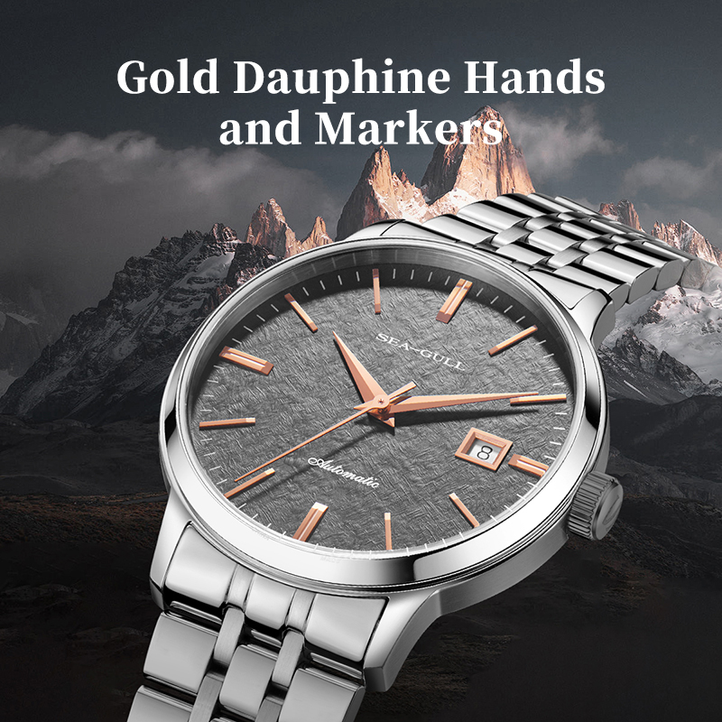 Seagull Bussiness Minimalist S - Omega Watch Constellation 评论和价格