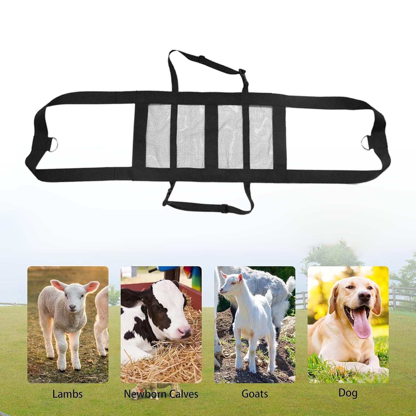 Calf Sling Hanging Weight Scal - Mesh Strap Metal 评论和价格