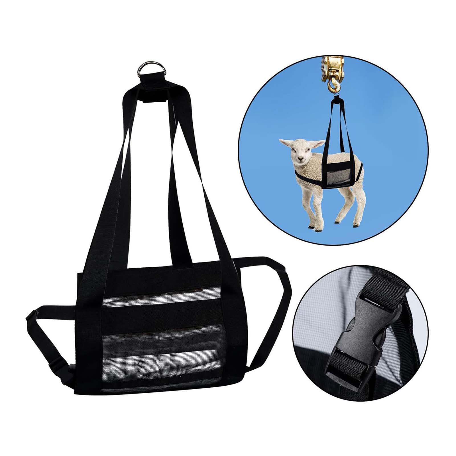 Calf Sling Hanging Weight Scal - Mesh Strap Metal 评论和价格