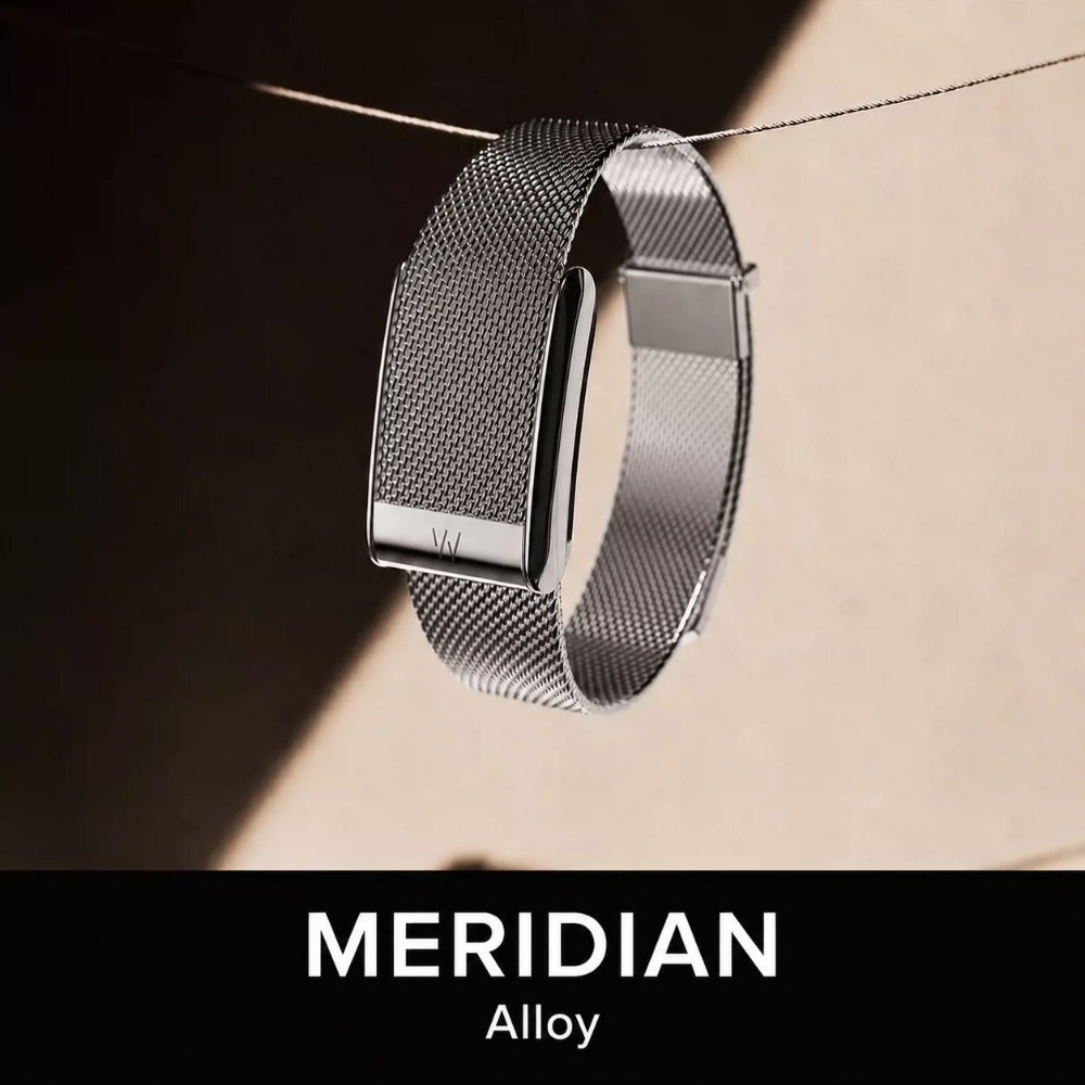 For WHOOP 5.0 MG Milanese Stai - Mesh Strap Metal 评论和价格